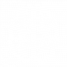 UP_Icon_Brain_White