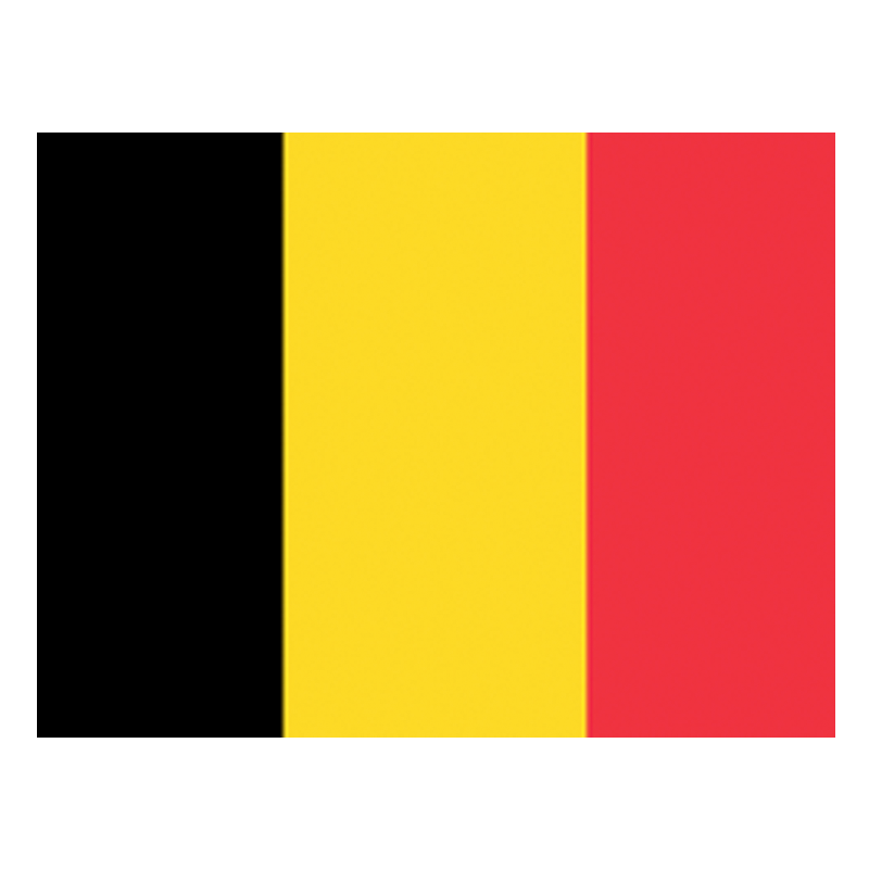 Nederlands (België) language flag