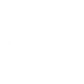 IBM Digital Analytics